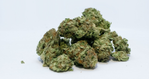 Weed Prices In Israel Drop As Gaza Relief Flotilla Cargo Arrives