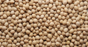 Maybe If We Boycott Soybeans, Or Something, Israel Will Disappear? I’m Out Of Ideas
