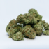 Weed Prices In Israel Drop As Gaza Relief Flotilla Cargo Arrives