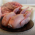 NGOs: Israelites’ Mass Slaughter Of Quail ‘Ecological Terrorism’